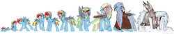 Size: 7500x1500 | Tagged: safe, artist:chub-wub, rainbow dash, pony, g4, age progression, artificial wings, augmented, baby, baby pony, beard, clothes, colt, elderly, facial hair, gray mane, icicles on beard, impossibly large beard, male, mechanical wing, older, rainbow blitz, robe, rule 63, scar, snow, teenager, wings, younger