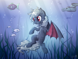Size: 1800x1363 | Tagged: safe, artist:sirzi, oc, oc only, oc:dusty fang, bat pony, eel, fish, pony, bat pony oc, bubble, female, mare, seaweed, solo, underwater, water