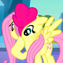 Size: 530x530 | Tagged: safe, edit, edited screencap, screencap, fluttershy, pinkie pie, earth pony, pony, g4, the crystal empire, cropped, fluttershy suit, pony costume, ponysuit, wat