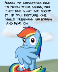 Size: 850x1054 | Tagged: safe, artist:hoofclid, rainbow dash, pegasus, pony, g4, cute, dashabetes, female, looking at you, pointless pony tips, preening, scrunchy face, solo, surprised, the more you know