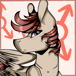 Size: 700x700 | Tagged: safe, artist:symphstudio, oc, oc only, oc:arizona, pegasus, pony, bust, male, portrait, solo, stallion