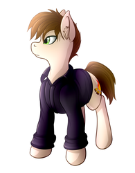 Size: 1000x1280 | Tagged: safe, artist:ray-frost, oc, oc only, earth pony, pony, clothes, commission, jacket, simple background, solo, white background