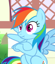 Size: 499x583 | Tagged: safe, screencap, rainbow dash, pegasus, pony, daring done?, g4, crossed arms, cute, dashabetes, female, mare, nose wrinkle, scrunchy face, sitting, solo, spread wings, wings