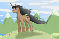 Size: 1280x852 | Tagged: artist needed, safe, oc, oc only, oc:yin yang star, pony, unicorn, male, scenery, solo, stallion