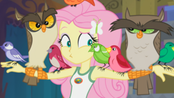 Size: 1920x1080 | Tagged: safe, screencap, fluttershy, bird, owl, songbird, equestria girls, g4, my little pony equestria girls: legend of everfree, chickadee (bird), clothes, female, house finch, outstretched arms, perching, tank top