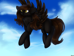 Size: 4000x3000 | Tagged: safe, artist:czywko, oc, oc only, oc:windy shift, pegasus, pony, art trade, chest fluff, cloud, female, fluffy, flying, mare, sky, solo, spread wings