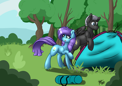 Size: 3507x2480 | Tagged: safe, artist:tatemil, oc, oc only, oc:ace wings, oc:roxy impelheart, earth pony, pegasus, pony, camping, high res, male, outdoors, trans female, transgender