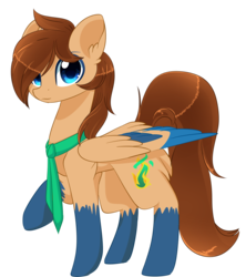 Size: 1024x1152 | Tagged: safe, artist:php146, oc, oc only, pegasus, pony, clothes, looking at you, male, scarf, simple background, solo, stallion, transparent background