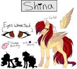 Size: 5000x4500 | Tagged: safe, artist:crazllana, oc, oc only, oc:shina, pegasus, pony, absurd resolution, colored wings, female, heart, mare, multicolored wings, piercing, reference sheet, simple background, solo, tongue piercing, transparent background, unshorn fetlocks