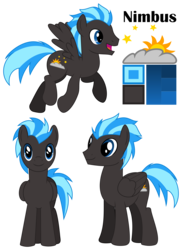 Size: 3000x4116 | Tagged: safe, artist:coppercore, oc, oc only, oc:nimbus, pegasus, pony, cutie mark, male, reference sheet, simple background, stallion, transparent background, vector