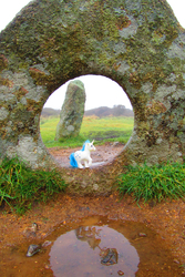 Size: 1200x1800 | Tagged: safe, artist:travelling-my-little-pony, majesty, g1, cornwall, female, hole, irl, megalith, monument, mên-an-tol, photo, photography, ponies around the world, reflection, standing stones, toy