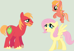 Size: 816x566 | Tagged: safe, artist:lost-our-dreams, big macintosh, fluttershy, oc, oc:honey crisp, pegasus, pony, g4, base used, female, filly, male, offspring, parent:big macintosh, parent:fluttershy, parents:fluttermac, ship:fluttermac, shipping, simple background, story in the source, straight