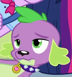 Size: 477x507 | Tagged: safe, screencap, spike, dog, equestria girls, g4, my little pony equestria girls, cropped, male, puppy, solo, spike is not amused, spike the dog, unamused