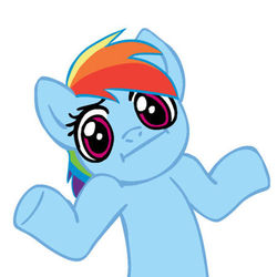 Size: 450x450 | Tagged: safe, rainbow dash, g4, female, looking at you, shrug, shrugpony, simple background, solo, white background