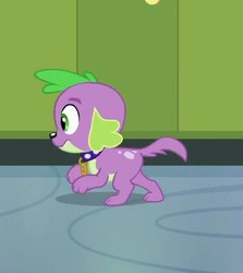 Size: 378x424 | Tagged: safe, screencap, spike, dog, equestria girls, g4, my little pony equestria girls, cropped, male, puppy, running, solo, spike the dog