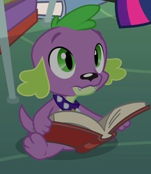Size: 796x919 | Tagged: safe, screencap, spike, dog, equestria girls, g4, my little pony equestria girls, book, cropped, male, puppy, solo, spike the dog