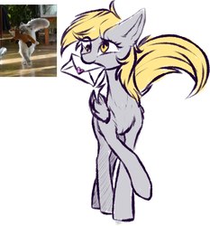 Size: 1846x1981 | Tagged: safe, artist:vincher, derpy hooves, pegasus, pony, g4, behaving like a cat, cute, female, letter, mailmare, mare, mouth hold, ponified animal photo, simple background, white background, yellow eyes