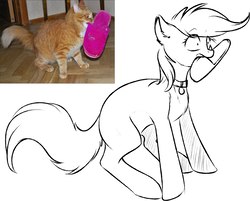 Size: 2284x1839 | Tagged: safe, artist:vincher, earth pony, pony, behaving like a cat, clothes, collar, female, lineart, mare, mouth hold, pet tag, pinpoint eyes, ponified animal photo, simple background, slippers, white background