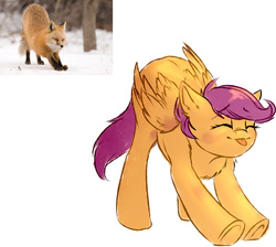 Size: 1972x1768 | Tagged: safe, artist:vincher, scootaloo, fox, pegasus, pony, g4, :p, behaving like a fox, chest fluff, cute, eyes closed, face down ass up, female, filly, fluffy, mare, ponified animal photo, shoulder fluff, silly, simple background, smiling, stretching, tongue out, underhoof, white background