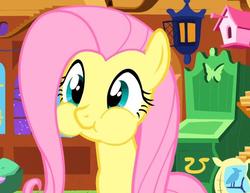 Size: 508x393 | Tagged: safe, screencap, fluttershy, pegasus, pony, g4, stare master, cropped, cute, female, holding breath, mare, puffy cheeks, shyabetes, solo