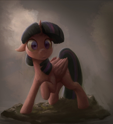 Size: 3394x3700 | Tagged: safe, artist:starblaze25, twilight sparkle, alicorn, pony, g4, female, high res, mare, raised hoof, solo, twilight sparkle (alicorn)