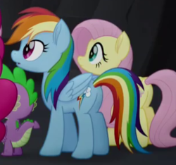 Size: 309x289 | Tagged: safe, screencap, fluttershy, rainbow dash, spike, dragon, g4, my little pony: the movie, butt, cropped, plot
