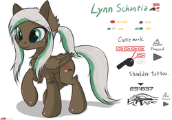 Size: 2588x1816 | Tagged: safe, artist:orang111, oc, oc only, oc:lynn, pegasus, pony, fixed, reference sheet, solo