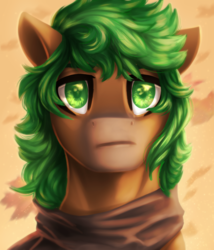 Size: 1024x1195 | Tagged: safe, artist:glitteronin, oc, oc only, oc:jaeger sylva, earth pony, pony, green eyes, looking at you, solo