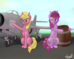 Size: 2500x2000 | Tagged: safe, artist:starlightglummer, berry punch, berryshine, cherry berry, earth pony, pony, g4, background pony, barrel, berry sisters, cleaning, dexterous hooves, duo, duo female, female, high res, mare, plane, siblings, signature, sisters, sitting, wiping, yak-30