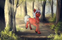 Size: 2560x1650 | Tagged: safe, artist:royvdhel-art, oc, oc only, oc:axel, earth pony, pony, colored hooves, commission, crepuscular rays, earth pony oc, forest, raised hoof, smiling, solo, tree