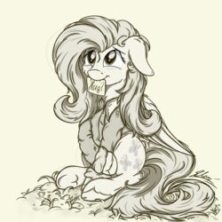 Size: 3024x3024 | Tagged: safe, artist:check3256, fluttershy, g4, clothes, cute, female, floppy ears, high res, hug request, hugs?, jacket, looking up, monochrome, mouth hold, note, shyabetes, sign, sitting, smiling, solo