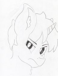 Size: 2743x3572 | Tagged: safe, artist:andandampersand, derpibooru exclusive, oc, oc only, oc:nahuelin, pony, unicorn, bust, high res, lineart, monochrome, portrait, traditional art