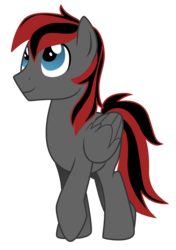 Size: 3170x4497 | Tagged: safe, artist:lostinthetrees, oc, oc only, oc:shining star, pegasus, pony, high res, male, simple background, solo, stallion, transparent background