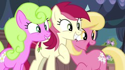 Size: 1920x1080 | Tagged: safe, screencap, daisy, flower wishes, lily, lily valley, roseluck, pony, g4, it isn't the mane thing about you, background pony, female, flower trio, trio, trio female