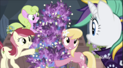 Size: 1324x740 | Tagged: safe, screencap, daisy, flower wishes, lily, lily valley, rarity, roseluck, earth pony, pony, unicorn, g4, it isn't the mane thing about you, alternate hairstyle, discovery family logo, female, flower trio, lavender, mare, raripunk