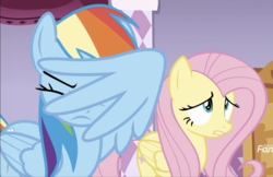 Size: 1135x737 | Tagged: safe, screencap, fluttershy, rainbow dash, pony, g4, it isn't the mane thing about you, cropped, discovery family logo, facewing