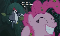 Size: 1000x600 | Tagged: safe, edit, edited screencap, editor:korora, screencap, pinkie pie, bird, woodpecker, g4, it isn't the mane thing about you, cropped, everfree forest, implied fluttershy, text