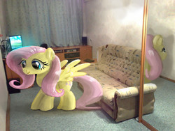 Size: 1296x972 | Tagged: safe, anonymous artist, fluttershy, pony, g4, irl, mirror, photo, photomanipulation, ponies in real life, solo