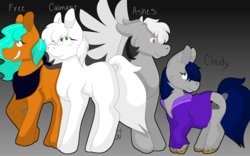 Size: 4000x2500 | Tagged: safe, artist:triplebiscuit, oc, oc only, oc:ashes, oc:calmant, oc:cloudy, oc:free, earth pony, pegasus, pony, commission, gay, gradient background, gray, male, orange, white