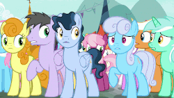 Size: 960x540 | Tagged: safe, screencap, amethyst star, carrot top, cheerilee, emerald green, golden harvest, green gem, high note, junebug, linky, rainbow swoop, rarity, shoeshine, sparkler, spectrum, sunshower raindrops, time flies, earth pony, pegasus, pony, unicorn, g4, it isn't the mane thing about you, animated, background pony, female, gif, male, mare, stallion