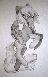 Size: 675x1080 | Tagged: safe, artist:aphphphphp, oc, oc only, pegasus, pony, solo, traditional art, watercolor painting
