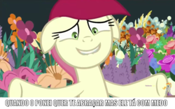 Size: 1280x800 | Tagged: safe, edit, edited screencap, screencap, roseluck, earth pony, pony, g4, it isn't the mane thing about you, awkward, brazil, dialogue, faic, female, floppy ears, flower, grin, image macro, mare, meme, portuguese, smiling, solo, text, translated in the comments