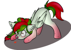 Size: 2039x1446 | Tagged: safe, artist:xcinnamon-twistx, oc, oc only, oc:watermelana, pegasus, pony, behaving like a cat, commission, laser, simple background, solo, transparent background, ych result