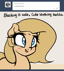 Size: 500x555 | Tagged: safe, artist:slavedemorto, oc, oc only, oc:backy, earth pony, pony, ask, blushing, cute, dialogue, smiling, solo, tumblr
