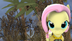 Size: 1024x576 | Tagged: safe, artist:thenorthremembers3, fluttershy, pony, g4, 3d, female, solo, watermark