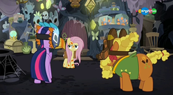 Size: 854x470 | Tagged: safe, screencap, cattail, fluttershy, twilight sparkle, alicorn, earth pony, pegasus, pony, a health of information, g4, carousel (tv channel), female, healer's mask, male, mare, mask, meadowbrook's home, stallion, swamp fever, trio, twilight sparkle (alicorn)