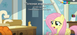 Size: 1256x584 | Tagged: safe, screencap, fluttershy, a health of information, g4, carousel (tv channel), credits, cyrillic, russian