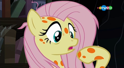 Size: 854x470 | Tagged: safe, screencap, fluttershy, pegasus, pony, a health of information, g4, carousel (tv channel), female, mare, messy mane, sick, solo, spots, swamp fever