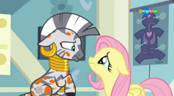 Size: 854x470 | Tagged: safe, screencap, fluttershy, zecora, pegasus, pony, zebra, a health of information, carousel (tv channel), cute, floppy ears, frown, looking at each other, sadorable, shyabetes, swamp fever, zecorable