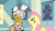 Size: 854x470 | Tagged: safe, screencap, fluttershy, zecora, pegasus, pony, zebra, a health of information, g4, my little pony: friendship is magic, carousel (tv channel), cute, floppy ears, frown, looking at each other, sadorable, shyabetes, swamp fever, zecorable